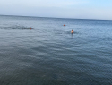 За неделю до зимы люди с удовольствием купаются в Чёрном море у берегов Анапы