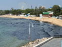 Раскрыта тайна черных водорослей на побережье Анапы 