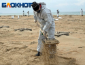 В МГУ предложили новый способ очистки дна от мазута
