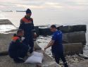 В Туапсе вылился мазут, но не в море 