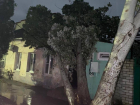 Дерево упало на крышу жилого дома во время ливня в Анапе