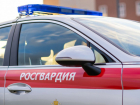 В Анапе поймали искателей закладок 