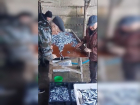 Анапские рыбаки выловили около 100 тонн хамсы – сезон завершается