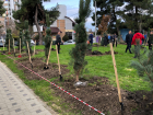 В День Конституции в Анапе прошла общегородская акция по высадке деревьев