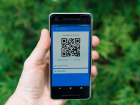 В Анапе в кафе без QR-кода не попадешь до 21 ноября
