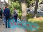 Дерево упало на женщину в центре Анапы