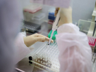 В Анапе зарегистрировано сразу 7 случаев заражения коронавирусом за сутки