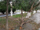 Анапу затопило, на улице Крымской движение затруднено из-за сломанных деревьев