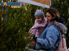 На Кубани заработают более 90 елочных базаров – большинство из них откроется в Анапе