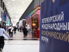 В Анапе появятся 2 новые винодельни: уже созданы проекты 