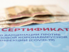 На Кубани выявлено 17 фактов продажи поддельных сертификатов о вакцинации