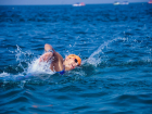 В Сукко под Анапой проводят Кубок России по плаванию на открытой воде
