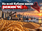 На всей Кубани ввели режим ЧС из-за проблем со сбытом урожая и работой портов