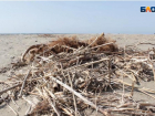 Замечают ли прохожие мусор на анапских пляжах?
