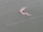  Ребёнок погиб во время купания в море в Анапе 