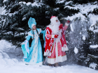 Как безопасно вызвать Деда мороза на Новый год в Анапе и сколько это стоит