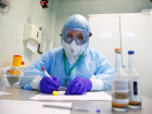 В Анапе выявили еще три новых случая коронавируса