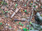 В гостагаевском лесу под Анапой нашли две гранаты РГ-42 и взорвали их. (Видео)