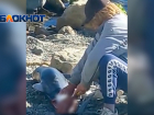 Жарящие шашлык из дельфина бездомные на пляже в Анапе попали на видео