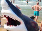«Только спокойствие» – на пляже Анапы заметили акулу