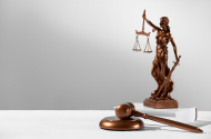 Услуги юриста по узакониванию самостроя - 