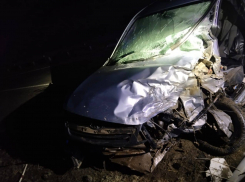 В Анапе смертельное ДТП на трассе Виноградный - Благовещенская 