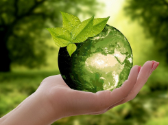 Школьники Анапы могут принять участие во Всероссийской онлайн-олимпиаде по экологии