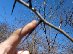 Маленькие анапчане могут сесть на иглу: пора принимать срочные меры