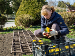 «Зеленстрой» собирается преобразить набережную Анапы и вернуть цветочные часы