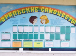 Девочку из Волгодонска родители были вынуждены досрочно забрать из «Уральских самоцветов» в Анапе
