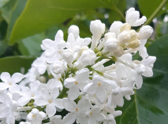 12 мая в Анапе ветер станет ещё сильнее