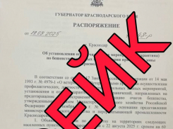 В соцсетях сообщается о введении карантина по бешенству животных в прибрежной зоне