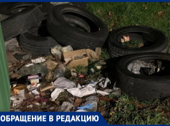 Денис Фёдоров просит разобраться с мусором на ул. Краснодарской в Анапе