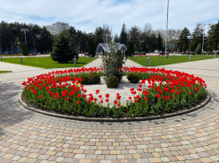 В Светлый праздник Пасхи в Анапе, в основном, солнечно