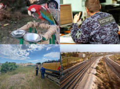 ДТП с участием малолетней девочки и «пытка голодом» группы детей – чем неделя запомнилась анапчанам