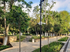 Недалеко от Театральной площади появились новые камеры видеонаблюдения