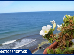 Такого бархатного сезона в Анапе больше не будет