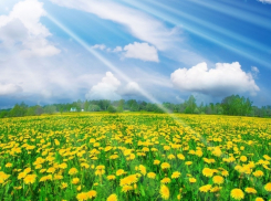 Сегодня, 18 июня, в Анапе ветрено и жарко