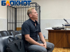«Двойные стандарты власти»: суд по делу приемного отца Дани Милохина приостановлен для экспертизы