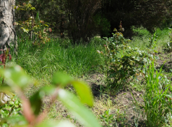 В День библиотекаря в Анапе облачно и без дождя