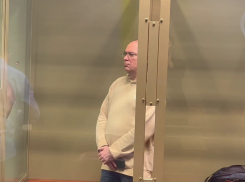 В Краснодаре осудили мужчину за изнасилование детей