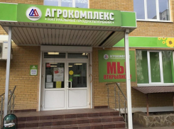 «Агрокомплекс», известный анапчанам, стал самым дорогим землевладельцем в России