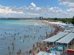 День собаки будет в Анапе тёплым и ветреным