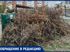 «360 собственников выбрали другое правление»: анапчанин недоволен работой действующего ТСЖ