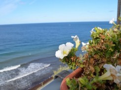 Анапа. Карантин 31 марта. Хроника событий: прохожих на улице становится все меньше