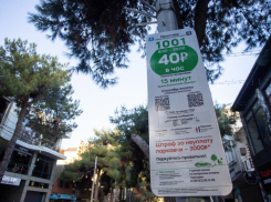 Бюджет Анапы пополнился на миллионы рублей благодаря парковкам 