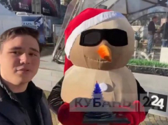 Награду за лучшую новогоднюю ёлку Кубани вручили анапскому Песковику