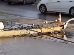 Появилось видео момента ДТП, когда автоледи снесла электрический столб