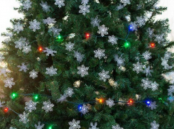 Где в Анапе можно купить елки 