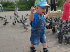 А я хочу, а я хочу опять, под солнцем бегать, голубей гонять...